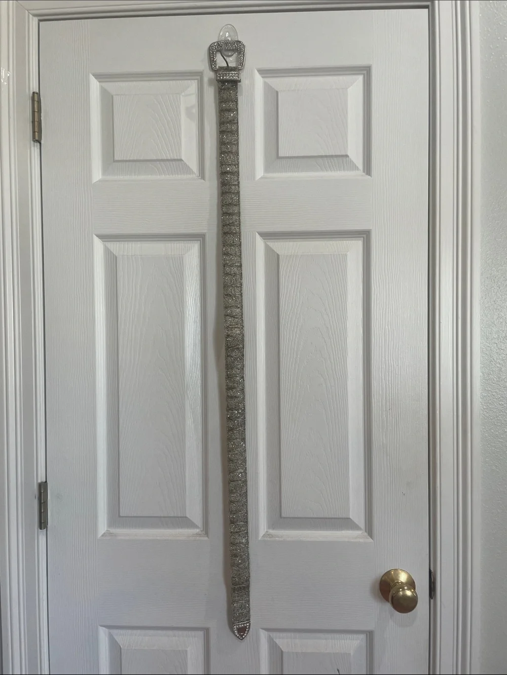Vintage silver rhinestone western cowgirl metallic wide belt women’s